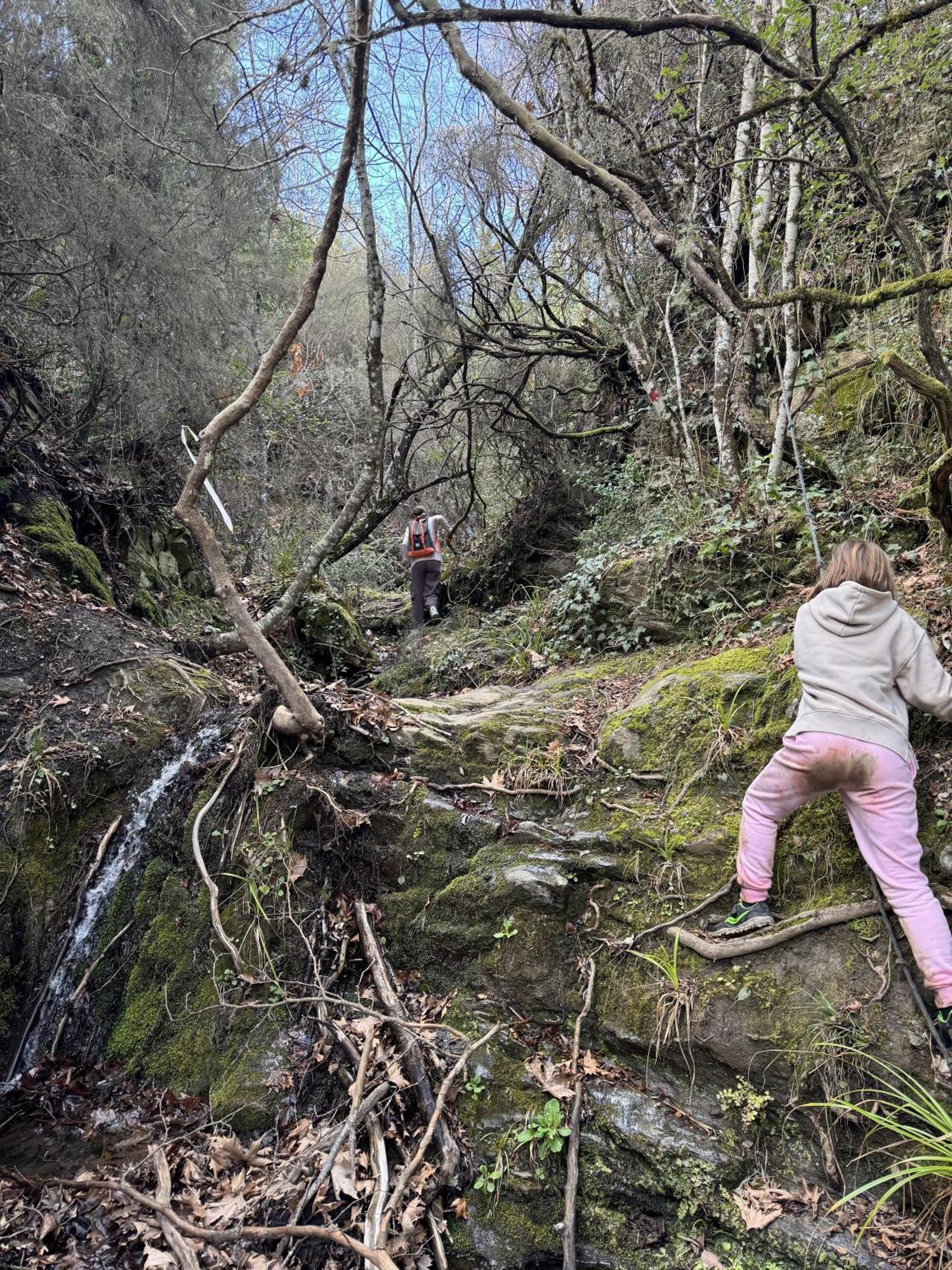 Foresta In Medias Mores 트리폴리스 외부 사진