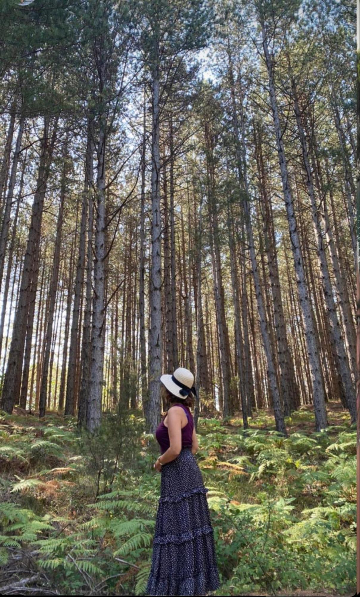 Foresta In Medias Mores 트리폴리스 외부 사진